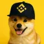 PUP