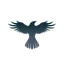RAVEN