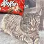KITKAT