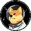 DOGE-1
