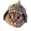 SC