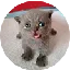 SNIPY