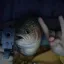 BIGTROUT