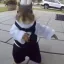 BELKA