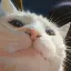 VCAT