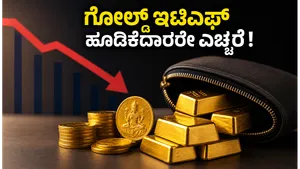 Gold Etf Investment Restrictions 2026 Lump Sum Limits 011
