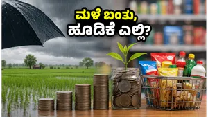 Monsoon Impact On Indian Economy Investment Strategies Rural Market 2026 011