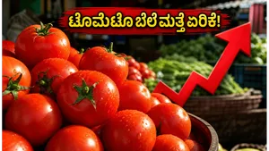 Tomato Price Hike 2026 Why Vegetable Costs Are Skyrocketing In India 011