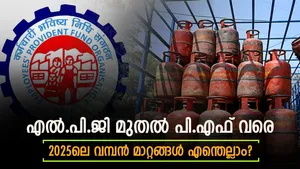 2025 New Year New Rules Lpg Pf And Other Key Changes To Know From January 1st Details Inside