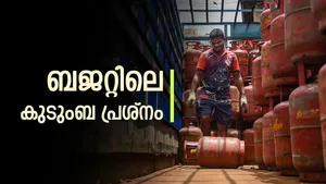 Lpg Price Cut Expected In Budget 2025 Govt Plans Major Subsidy