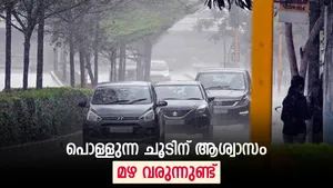 Kerala Weather Update Imd Predicts Rain Thunderstorms In Several Districts Today Check Temperatur