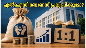 Lic Q4 Results 2026 Dividend Bonus Shares Investor Guide 011