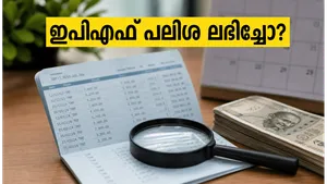 Epf Interest Credit 2023 24 How To Check Balance And Resolve Delays 011