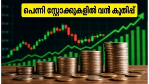 Penny Stocks Surge After Rbi Announcement Investment Risks 011
