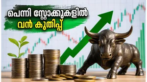 Penny Stocks Surge Indian Market Investor Guide 2026 011