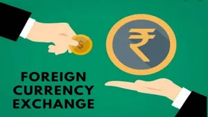 India Foreign Exchange Reserves Hits Lifetime High Of Usd 542 013 Billion