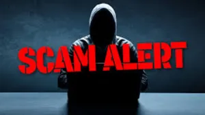 How To Spot Fraud Loans On Pan Simple Checks And Scam Recovery Guide