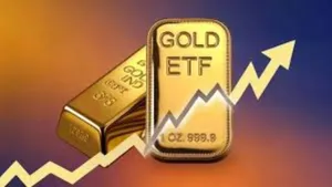 Gold Etf Investments In India Dip In February 2026 After January Surge 011
