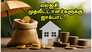 Lic Bonus Shares Dividend Record Date 2024 Investor Guide 011