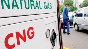 Mgl Reduced Cng Png Prices After Goi Announced Rate Cuttings