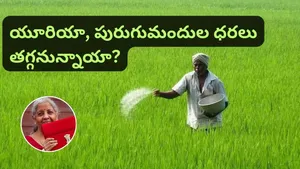 Union Budget 2026 Agriculture Sector Expectations Gst On Pesticides R And D Spending Sustainability