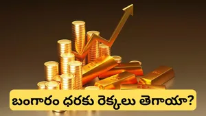 Gold Etf Silver Funds Crash 20 Percent Price Recovery Mcx Bullion Market Crash News Today Updates In