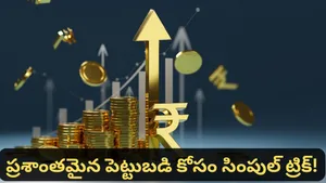 How 65 10 10 15 Boring Thali Portfolio In Mutual Funds Helps In Uncertain Markets And Growth Summary