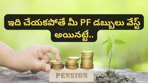 When And How Will Private Sector Employees Get Lifetime Pension Epfo Eps Rules And Eligibility