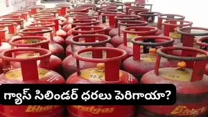 Petrol Prices And Gas Cylinder Price Hike News Updates As Oil Companies Dismiss Fuel Shortage Rumors