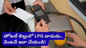 Lpg Charges In Restaurant Bills Are Illegal Govt Orders Crackdown On Hidden Costs In Hotel Food Bill