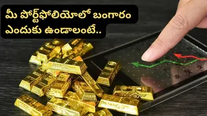 Gold Playing An Important Role Investment Portfolios Says Hsbc Mutual Fund Ceo Kailash Kulkarni