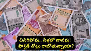 Plastic Banknotes In India Rbi Revives Polymer Currency Plan Details On Launch And Durability