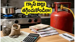 Lpg Gas Price June 2026 Smart Booking Tips Kitchen Budget Management 011