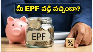 Epf 8 25 Percent Interest Credit Status 2026 How To Check Balance And Resolve Delays 011