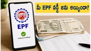Epf Interest Credit 2026 How To Check Provident Fund Balance Online Easily 011