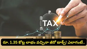 Nri Makes Rs 1 35 Crore Gains From Mutual Funds In India Pays Zero Tax Rules