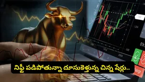 Top 5 Smallcap Stocks India Mutual Funds Sbi Hdfc Nippon Investment Stock Market News