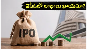 Hexagon Nutrition Ipo 2026 Investment Tips Strategies Retail Investors 011