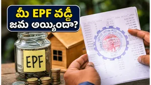 How To Check Epf Balance And 8 25 Percent Interest Status 2023 24 011
