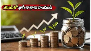 Sip Mutual Funds Growth 2026 Maximize Returns Portfolio Management 011